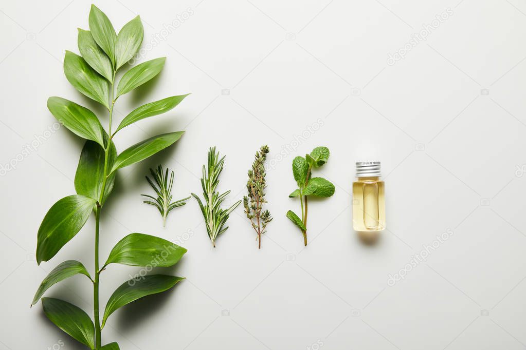 Top view of essential oil and green herbs on white background