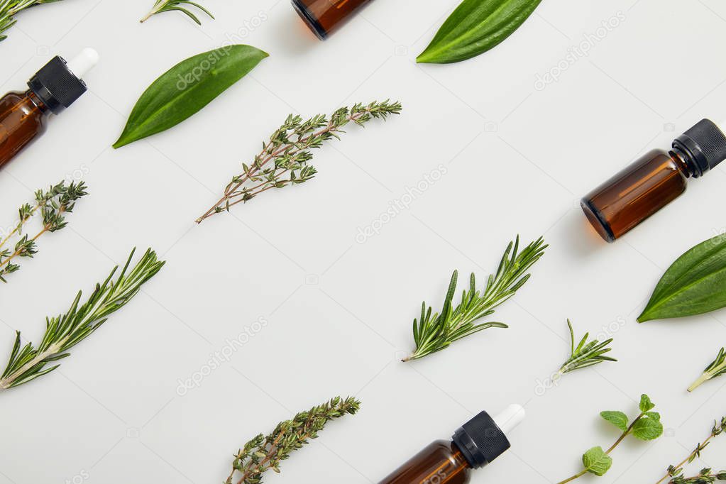 Flat lay with bottles of essential oil, thyme and rosemary on grey background