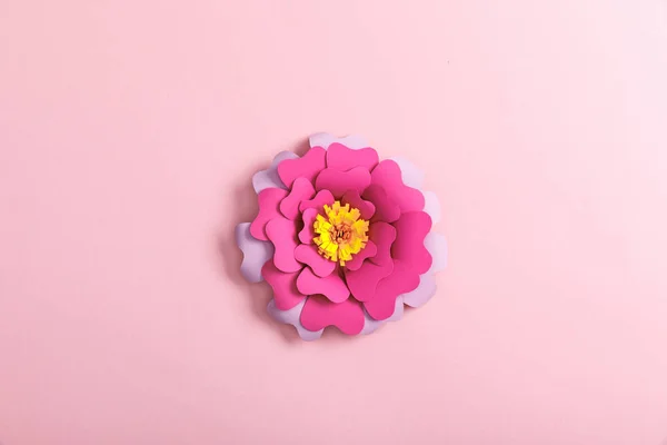 Von Oben Auf Papier Bunte Blume Auf Rosa Hintergrund — Stockfoto