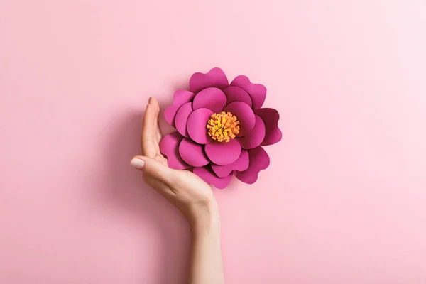 Beskuren Bild Kvinnlig Hand Nära Papper Blomma Rosa Bakgrund — Stockfoto