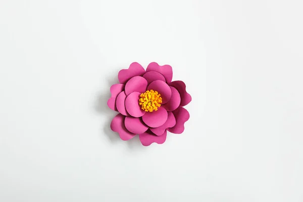 Κάτοψη Του Ροζ Χάρτινο Λουλούδι Γκρι Φόντο — Φωτογραφία Αρχείου