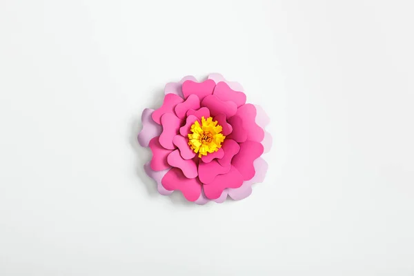 Vista Superior Flor Papel Rosa Lilás Fundo Cinza — Fotografia de Stock