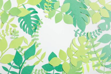 gri arka plan üzerinde üstten görünüm ile kağıt bitkilerin yaprakları