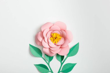 gri arka plan üzerinde pembe kağıt çiçek ve yeşil bitkilerin Üstten Görünüm