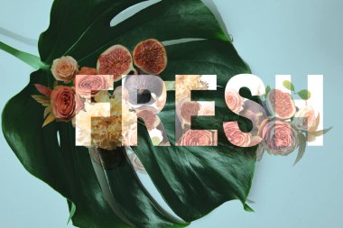 monstera yaprak üstten görünüm ve taze çiçekler ve incir illüstrasyon ile mavi arka plan üzerinde yazı