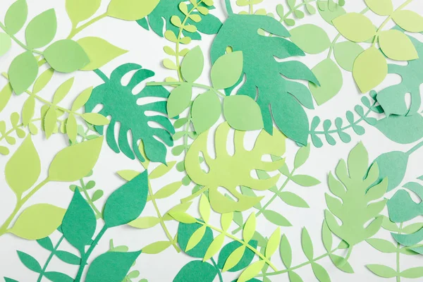 Pohled Shora Zelené Papírové Rostlin Bílém Pozadí — Stock fotografie