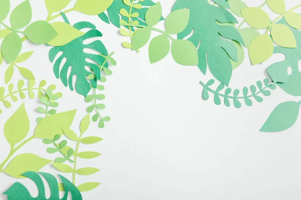 Pohled Shora Zelené Papírové Rostliny Listy Šedém Pozadí — Stock fotografie