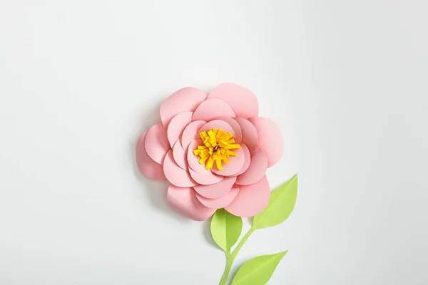 Top View Pink Paper Flower Green Plants Leaves Grey Background — Stock Photo, Image