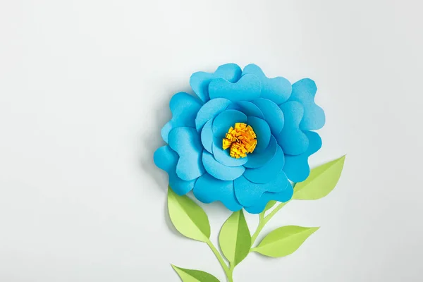 Top View Blue Paper Flower Green Plants Leaves Grey Background — Stock Photo, Image