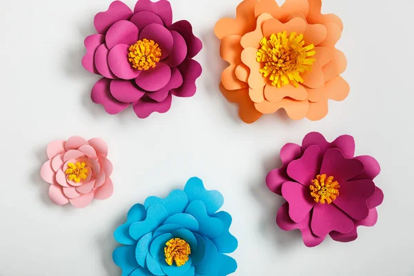 Top View Multicolored Paper Flowers Grey Background — Stock Photo, Image