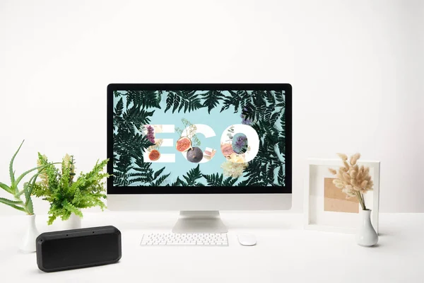 计算机与生态字母和蕨类植物绿叶显示器上的桌子上的白色背景 — 图库照片