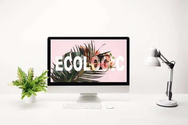 Computer Con Scritte Ecologiche Foglia Tropicale Monitor Scrivania Sfondo Bianco — Foto Stock