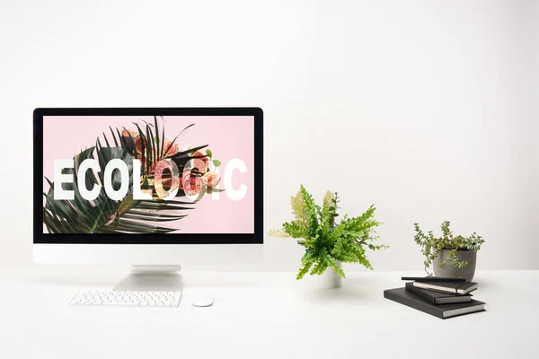 Computer Green Monstera Leaves Roses Nature Lettering Monitor White Background — Stock Photo, Image
