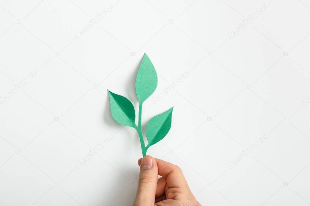 cropped view of woman holding green paper plant with leaves on grey background