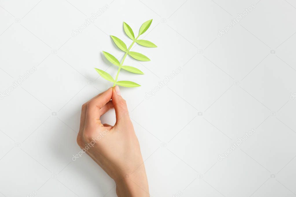 cropped view of woman putting green paper plant with leaves on grey background