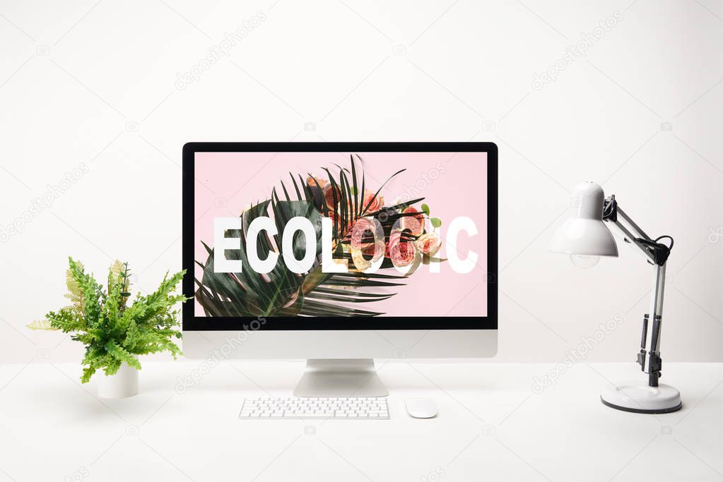 computer with ecologic lettering and tropical leaf on monitor on desk on white background