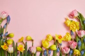 top view of beautiful pink tulips, blue hyacinths and yellow daffodils on pink background