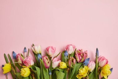 pembe bir arka plan üzerinde güzel Pembe Lale, sümbül mavi ve sarı nergis çiçek Üstten Görünüm