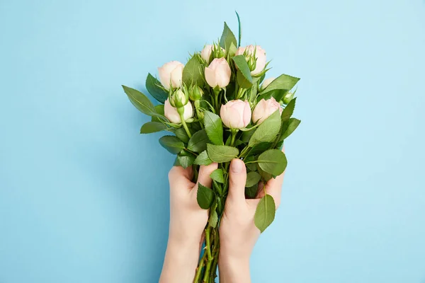 Teilansicht Weiblicher Hände Mit Schönem Rosenstrauß Auf Blauem Grund — Stockfoto