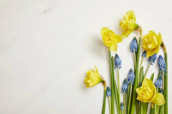 Draufsicht Auf Schöne Gelbe Narzissen Und Blaue Hyazinthen Auf Weißem — Stockfoto