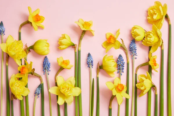 Bovenaanzicht Van Prachtige Blauwe Hyacinten Gele Narcissen Roze — Stockfoto