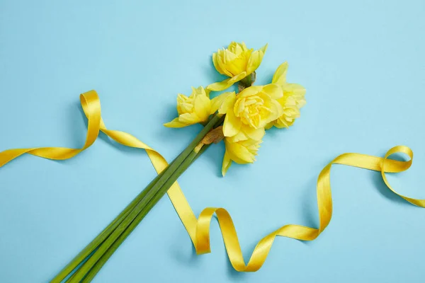 Top View Beautiful Yellow Daffodils Yellow Satin Ribbon Blue — Stock Photo, Image