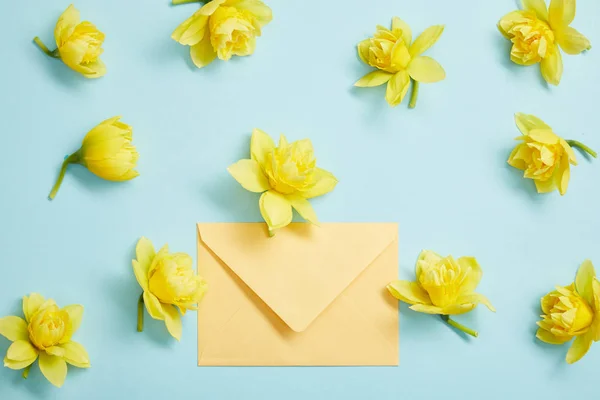 Top View Yellow Narcissus Flowers Yellow Envelope Blue — Stock Photo, Image