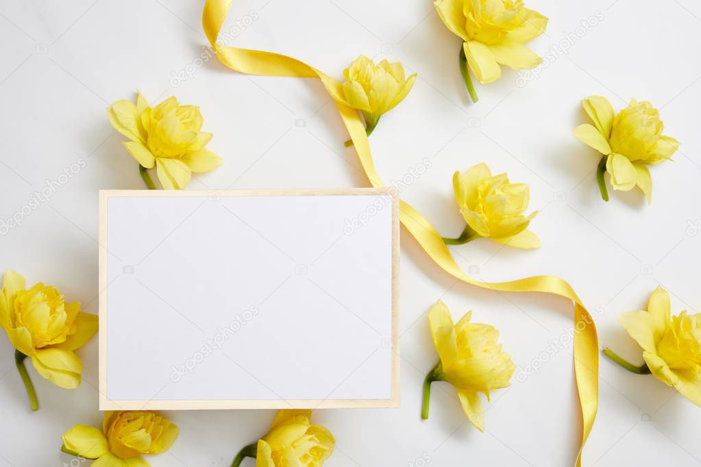 top view of yellow narcissus flowers, white empty card, and yellow satin ribbon on white 