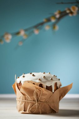 sprinkles kopya alanı ile turkuaz tarih seçici odak Paskalya kek süslenmiş