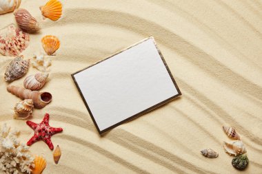 top view of blank placard near seashells, red starfish and corals on sandy beach  clipart