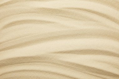 golden and textured sandy surface on beach in summertime clipart