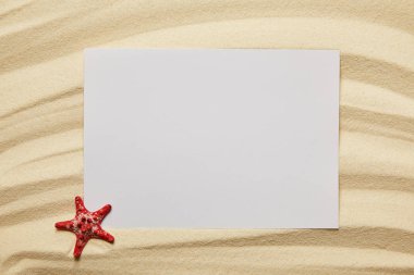 Yaz aylarında kumlu plajda kırmızı yıldız balığı yakın boş pankart