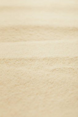 Yaz aylarında altın kumlu plaj seçici odak