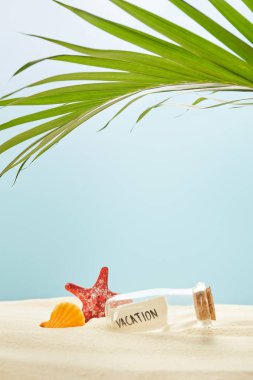 green palm leaf near glass bottle with vacation lettering on paper and seashell with starfish on sand isolated on blue clipart