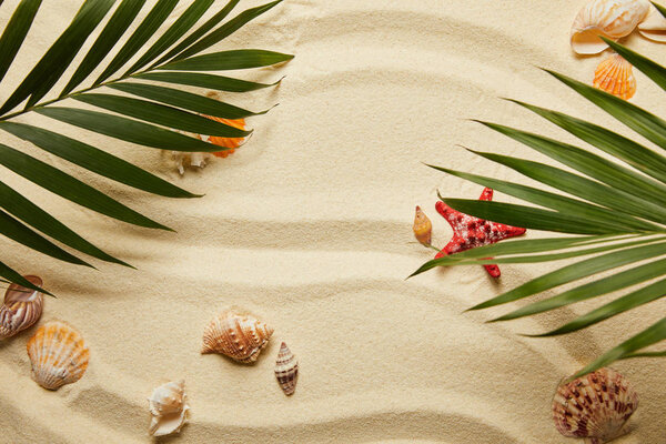top view of green palm leaves near red starfish and seashells on sandy beach 
