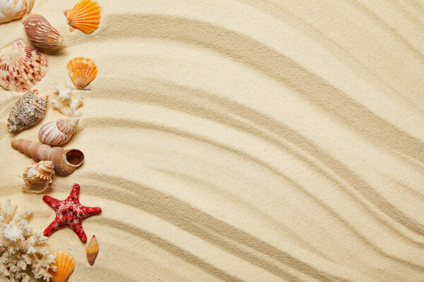 flat lay of seashells, red starfish and corals on sandy beach 