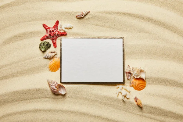 top view of blank placard near seashells, starfish and white corals on sandy beach