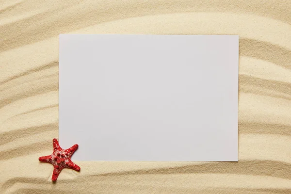 Blank Placard Red Starfish Sandy Beach Summer — Stock Photo, Image