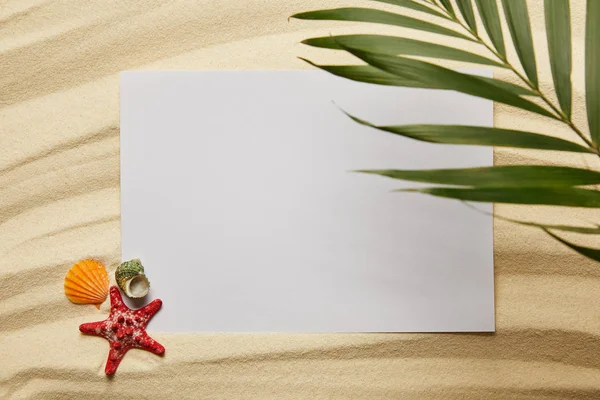 Вид Зеленый Пальмовый Лист Рядом Чистым Плакатом Морскую Звезду Ракушки — стоковое фото