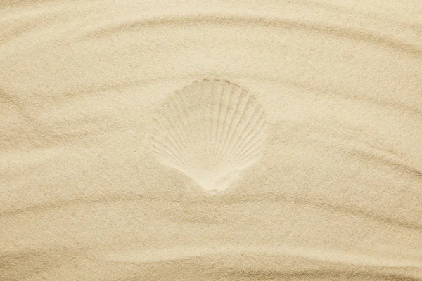Top View Sandy Beach Seashell Print Summertime — Stock Photo, Image