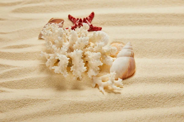 Corallo Bianco Vicino Conchiglie Stelle Marine Sulla Spiaggia Sabbia Estate — Foto Stock