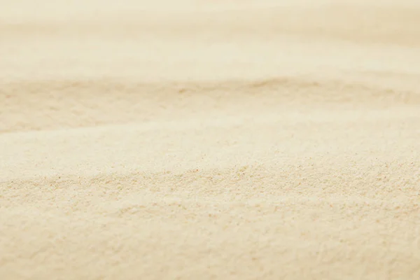 Selective Focus Golden Sandy Surface Beach Summertime — Stock Photo, Image