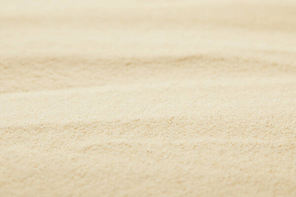 селективный фокус золотистой песчаной поверхности на пляже в летнее время
