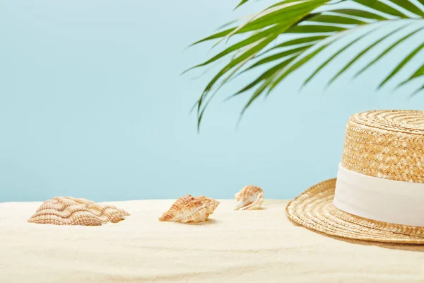 Selective Focus Straw Hat Seashells Green Palm Leaf Summertime Isolated — Stock Photo, Image