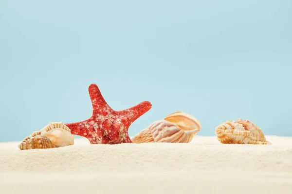 Вибірковий Фокус Червоної Морської Зірки Черепашок Піщаному Пляжі Ізольовані Синьому — стокове фото