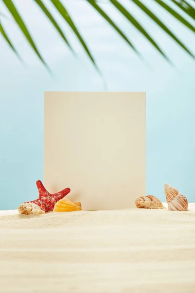 selective focus of blank placard, red starfish and seashells on sand near green palm leaf on blue