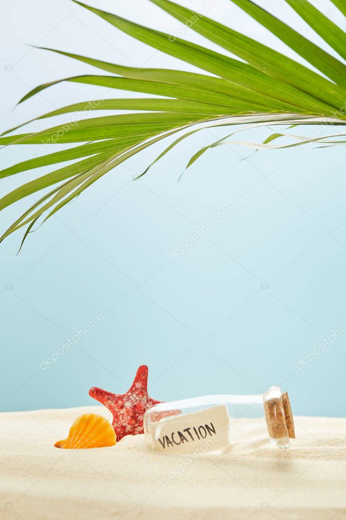 green palm leaf near glass bottle with vacation lettering on paper and seashell with starfish on sand isolated on blue