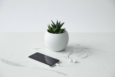 smartphone with connected earphones, and flowerpot isolated on grey clipart