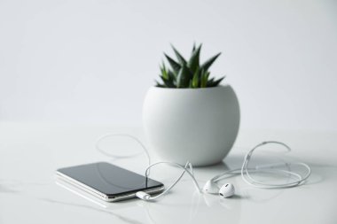 kulaklık ve saksı gri üzerinde izole akıllı telefon seçici odak