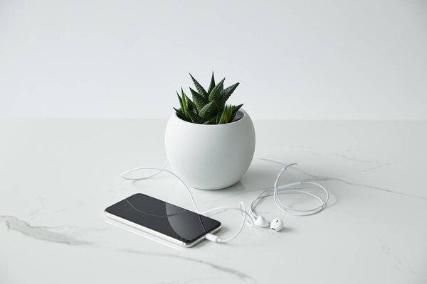 smartphone with connected earphones, and flowerpot isolated on grey
